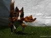 cimg_0357