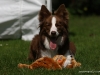 cimg_0378
