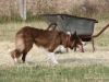 cimg_0056