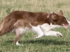 cimg_0058