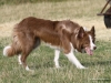 cimg_0075
