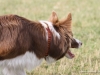 cimg_0081