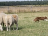 cimg_0089