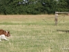 cimg_0121
