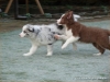 comp_dsc03106