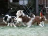 comp_dsc03110