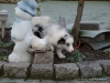 comp_dsc03119