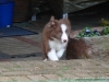 comp_dsc03122