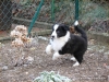 comp_dsc03124