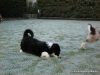 comp_dsc03139