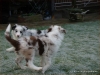 comp_dsc03148