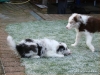 comp_dsc03149