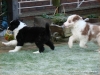 comp_dsc03153