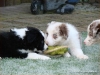 comp_dsc03159