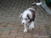 comp_dsc03163