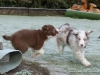 comp_dsc03169