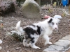 comp_dsc03192