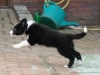 comp_dsc03195