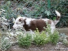 comp_dsc03228
