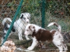 comp_dsc03232
