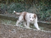 comp_dsc03242