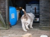 comp_dsc03243
