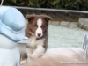 comp_dsc03249