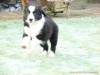 comp_dsc03251