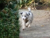 comp_dsc03272