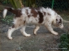 comp_dsc03280