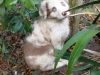comp_dsc03295