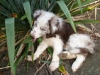 comp_dsc03303