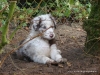 comp_dsc03324