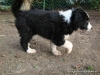 comp_dsc03327