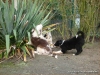 comp_dsc03337
