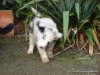 comp_dsc03344