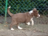 comp_dsc03366