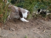 comp_dsc03375