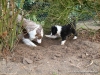 comp_dsc03380