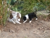 comp_dsc03381