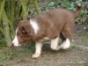 comp_dsc03395