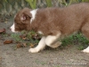 comp_dsc03396