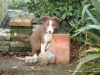 comp_dsc03402