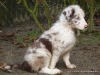 comp_dsc03404