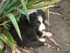 comp_dsc03408