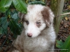comp_dsc03412