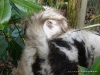 comp_dsc03414