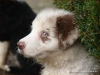 comp_dsc03424