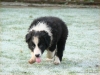 comp_dsc03434