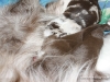cimg_3767